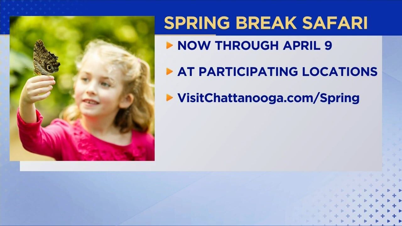3 Plus Your Community- Spring Break Safari